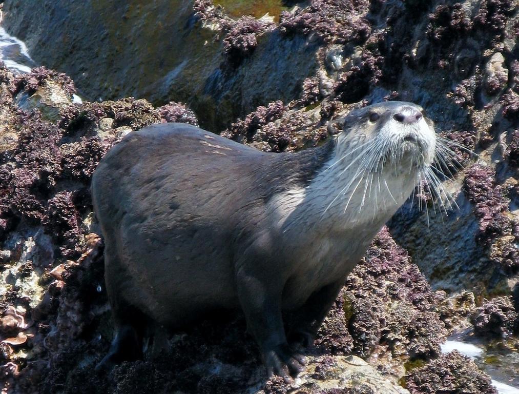 EersterivierstrandBishops Cove别墅 外观 照片